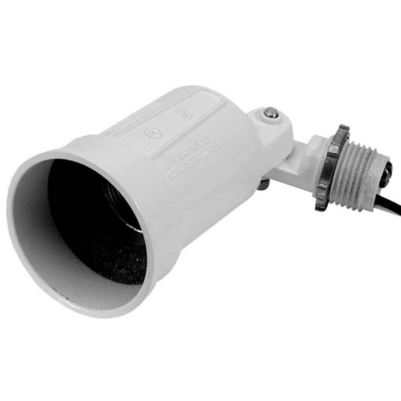 Teddico/Bwf 1001W-1 Lamp Holder, Floodlight, 150 W, Metal Housing Material, White