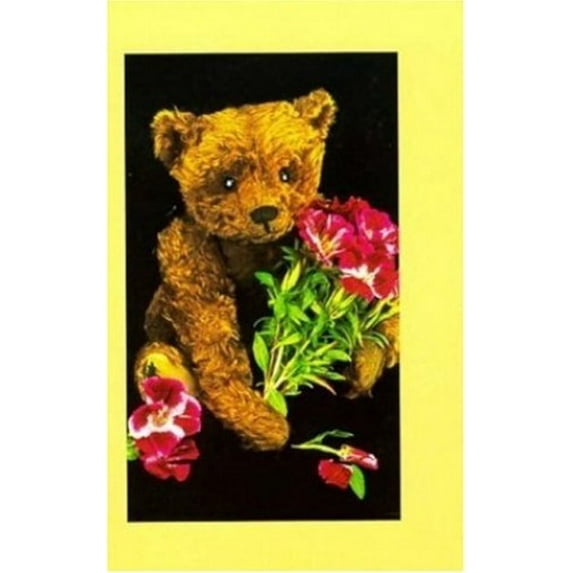 Pre-Owned Teddy Bear Collector's Journal Paperback