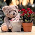 Teddy Bear Gift Set with Mini Roses