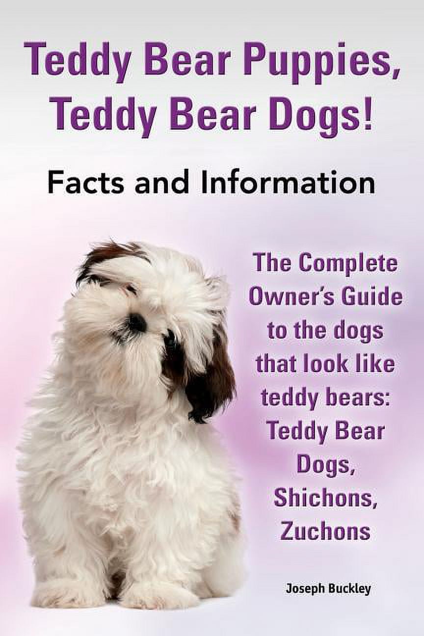 33 Interesting Facts About Teddy Bears