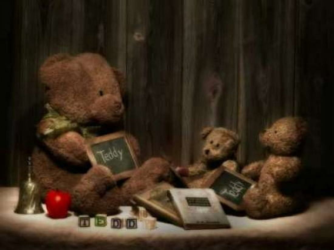 Teddybear School Canvas Art - C Thomas McNemar (22 x 28)
