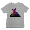 thumbnail image 1 of Tee Hunt Dj Kitty Youth T-Shirt Rainbow Cat Funny Animal Lovers Music Kids, Gray, Large, 1 of 5