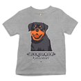 thumbnail image 1 of Tee Hunt Life is Better With My Rottweiler Youth T-Shirt Rottie Pet Dog Lover Kids, Gray, X-Large, 1 of 5