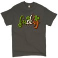 thumbnail image 1 of Tee Hunt Lucky T-shirt Irish St. Patrick's Day Leprechaun Elves Shenanigans Men's Tee, Charcoal, 3X-Large, 1 of 5