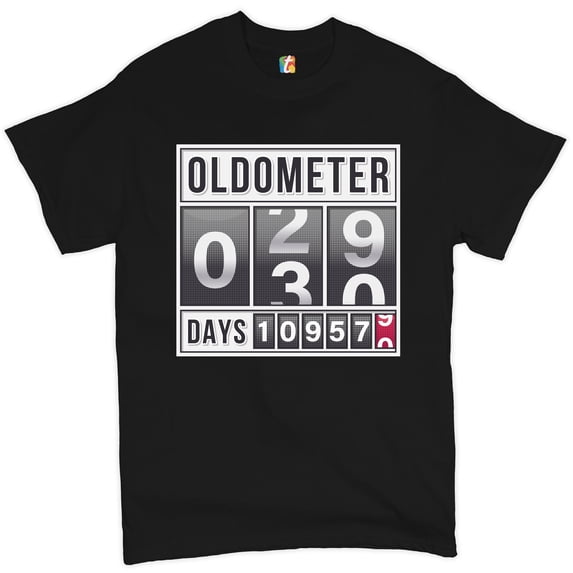 Tee Hunt Oldometer 29-30 T-Shirt Funny Odometer Men's Tee