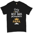thumbnail image 1 of Tee Hunt Only The Best Dads Get Promoted to Papa T-Shirt Papaw Father's Day Men's Tee, 1 of 5