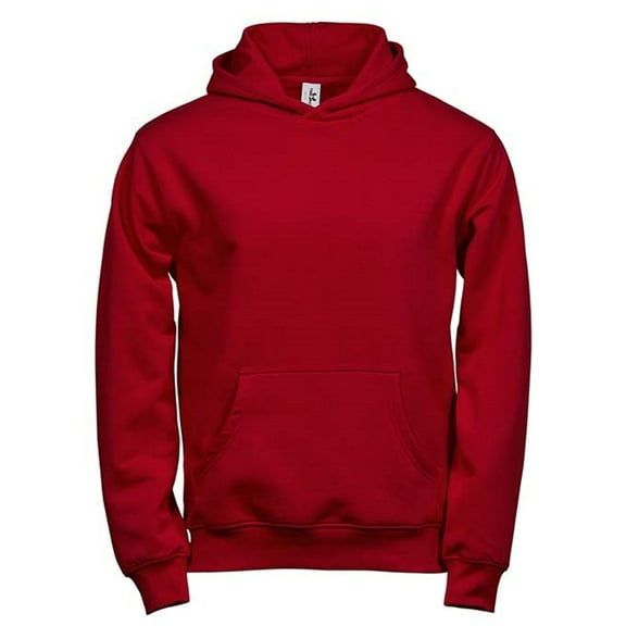 Tee Jays Boys/Girls Power Hoodie