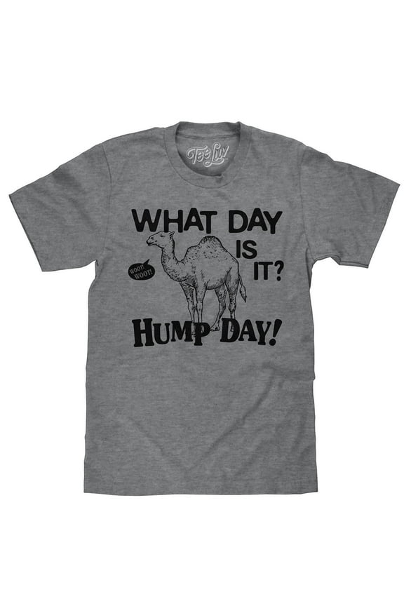 Hump Day Camel Graphic T-Shirt (Men's) (3XL)