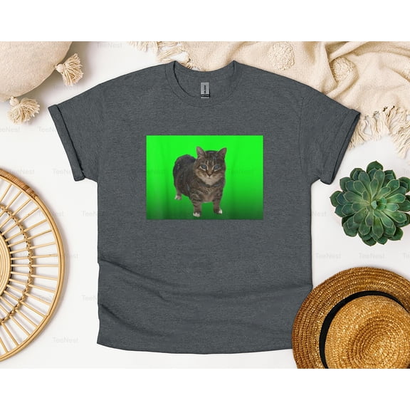 TeeNest14 Oiiaa Spinning Cat Brainrot Funny Meme Viral TikTok Unisex T-Shirt, SW, Hoodie Unisex, up size 5XL