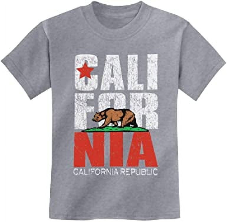 TeeStars California Bear Republic Kids T-Shirt – X-Large Grey Graphic Tee - View #5