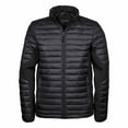 thumbnail image 1 of Teejays Mens Padded Full Zip Crossover Jacket, 1 of 3