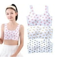 thumbnail image 1 of Girls Padded Training Bras Fit for 10-15 Years for Teens & Big Girls Sports Training Bras Wire Free Push Up Adjustable Straps Fixed Pads, 1 of 4