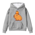 thumbnail image 1 of Teen Girls Hoodies Sweatshirts Cute Capybara Print Pullover Long Sleeve Hooded Sweatshirt With Pocket Kids Fall Winter Casual Clothes Grey Size 13-14T, 1 of 4