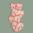thumbnail image 1 of Teen Girls Underwear Cotton Stretch Briefs Comfy Mid Rise Panties 4 Pack Red 12 Years, 1 of 3