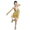 thumbnail image 1 of Teen Latin Dance Dresses for Girls Tassel Salsa Dancewear Tango Sequin Dress Girls Flapper Dress + Sleeves 10-11, 1 of 4