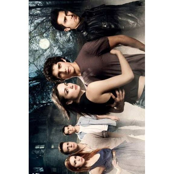 Teen Wolf Mtv Poster 27Inx40In for any room 27x40 Multi-Color Square Adults Poster Time