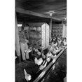 thumbnail image 1 of Teenage Boy Gathering Eggs in Chicken Coop Poster Print - 18 x 24 in., 1 of 1