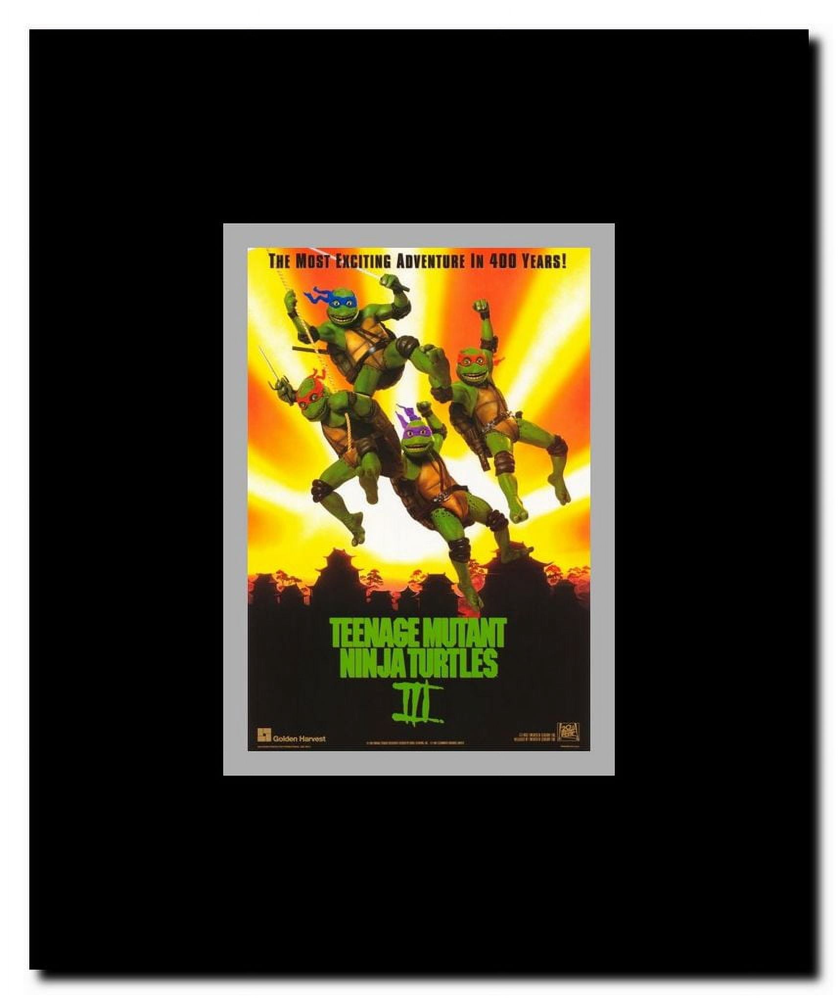 Teenage Mutant Ninja Turtles 3 Framed Movie Poster