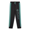 thumbnail image 1 of Teenage Mutant Ninja Turtles Boys Athletic Pants, Sizes 4-16, 1 of 4
