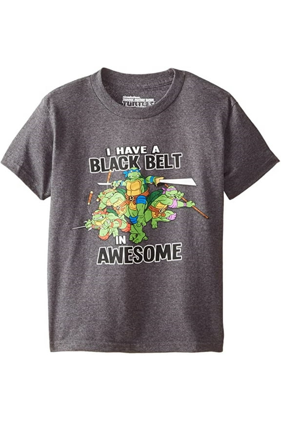 Teenage Mutant Ninja Turtles Boys' Blackbelt in Awesome Tee