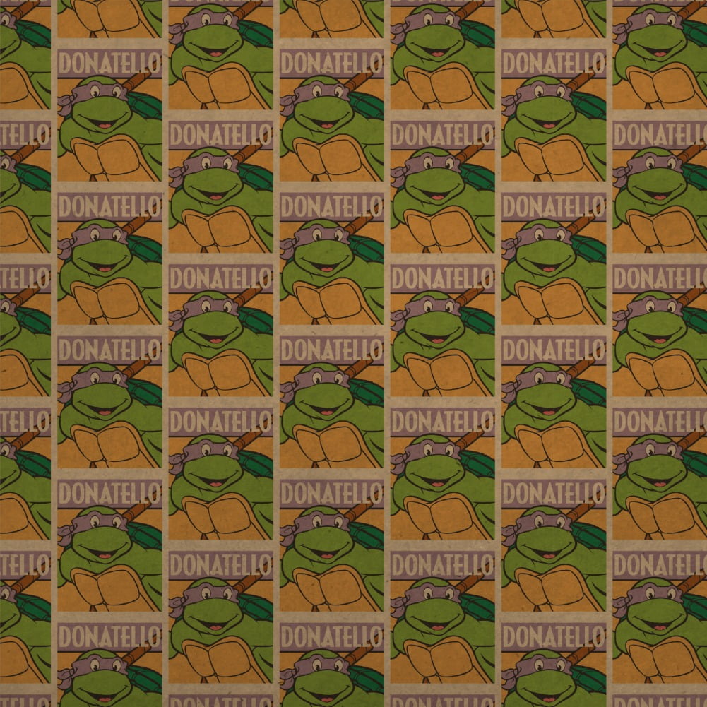 Teenage Mutant Ninja Turtles Donatello Premium Kraft Roll Gift Wrap Wrapping Paper
