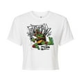 thumbnail image 1 of Teenage Mutant Ninja Turtles: Mutant Mayhem - Raphael Going In Loud - Juniors Cropped Cotton Blend T-Shirt, 1 of 5