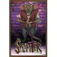 thumbnail image 1 of Teenage Mutant Ninja Turtles: Mutant Mayhem - Splinter Wall Poster, 14.725" x 22.375" Framed, 1 of 6