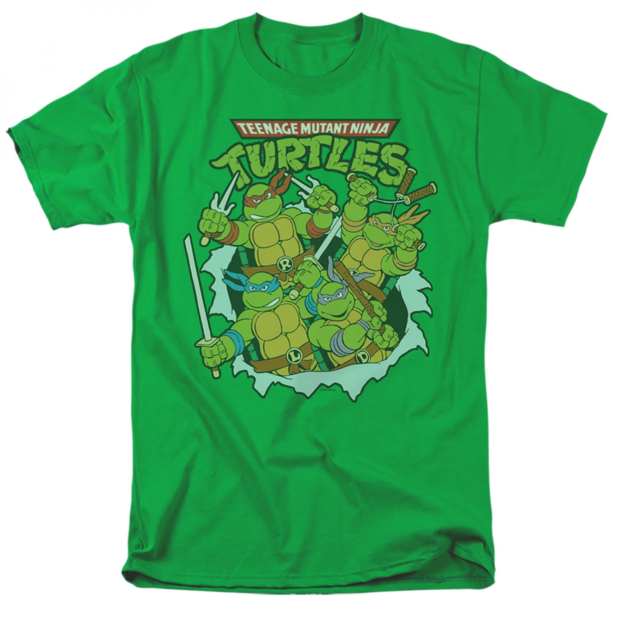 Teenage Mutant Ninja Turtles: Mutant Mayhem - Leonardo AKA Leo - Team  Turtles - Toddler And Youth Short Sleeve Graphic T-Shirt