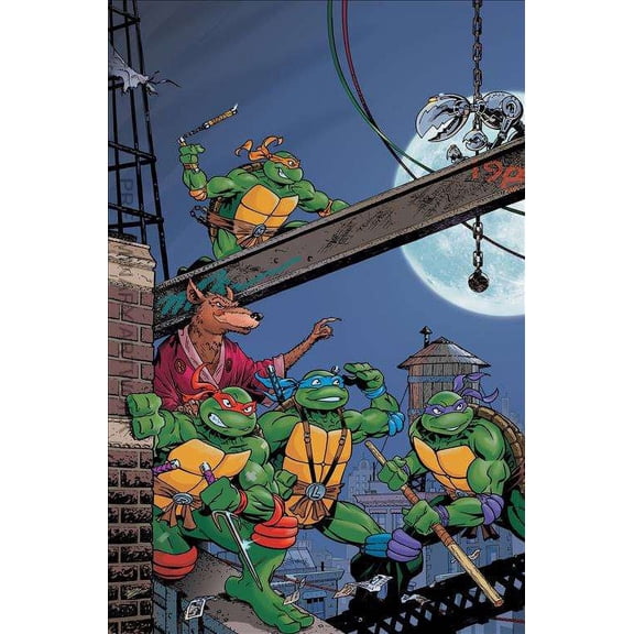 Teenage Mutant Ninja Turtles: Saturday Morning Adventures Continued #1E VF ; IDW Comic Book