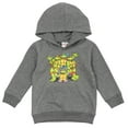 thumbnail image 1 of Teenage Mutant Ninja Turtles TMNT Donatello Raphael Leonardo Little Boys Fleece Pullover Hoodie Toddler to Big Kid, 1 of 5