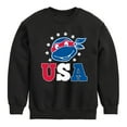 thumbnail image 1 of Teenage Mutant Ninja Turtles - USA Raphael - Youth Crewneck Fleece Sweatshirt, 1 of 5