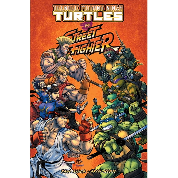 Teenage Mutant Ninja Turtles vs. Street Fighter (Paperback)