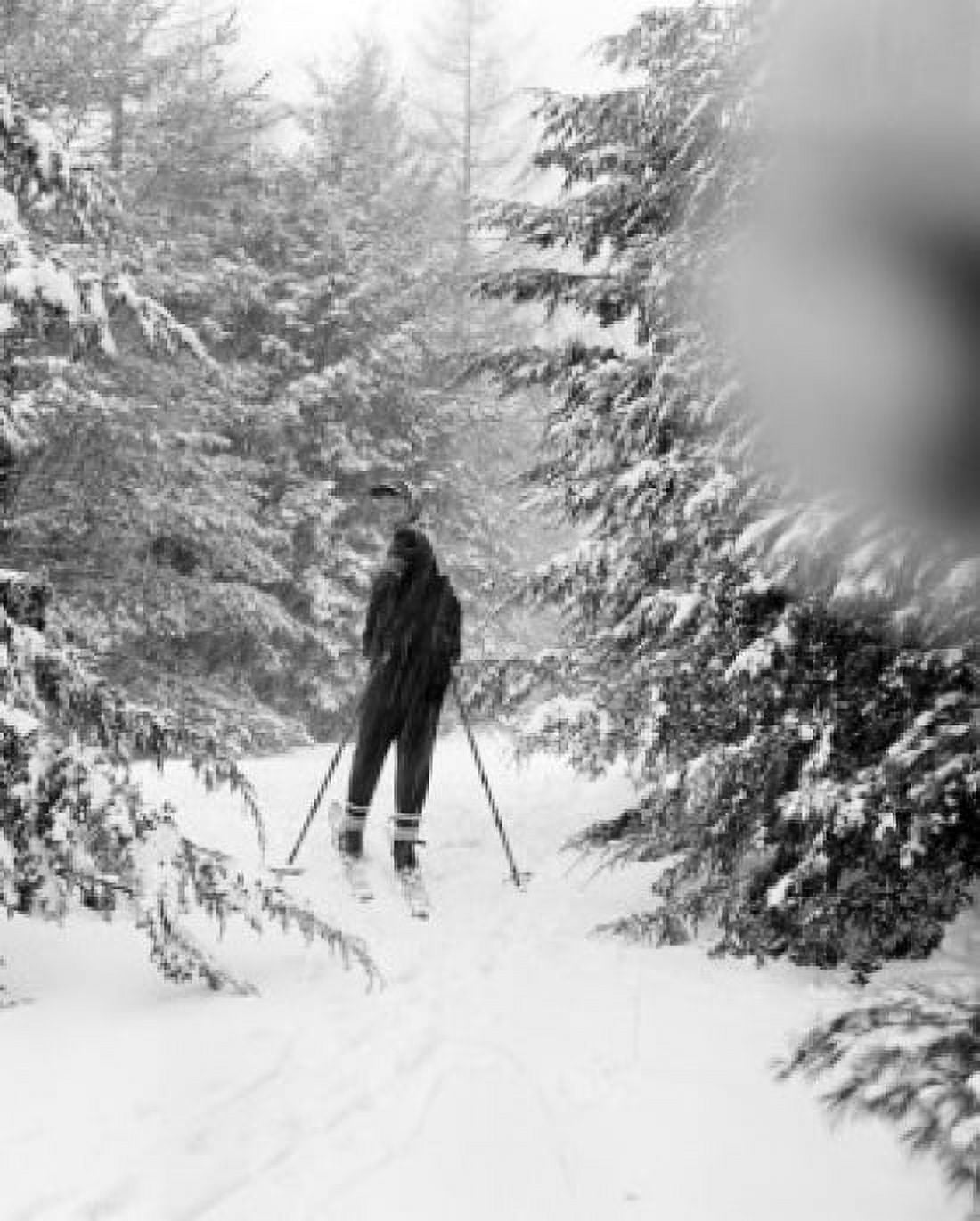 Teenage boy skiing in forest Canvas Art - (18 x 24)