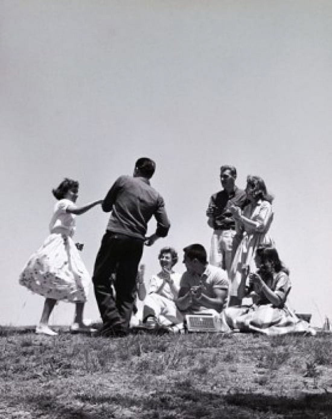 Teenage boys and teenage girls at a picnic Canvas Art -  (24 x 36)