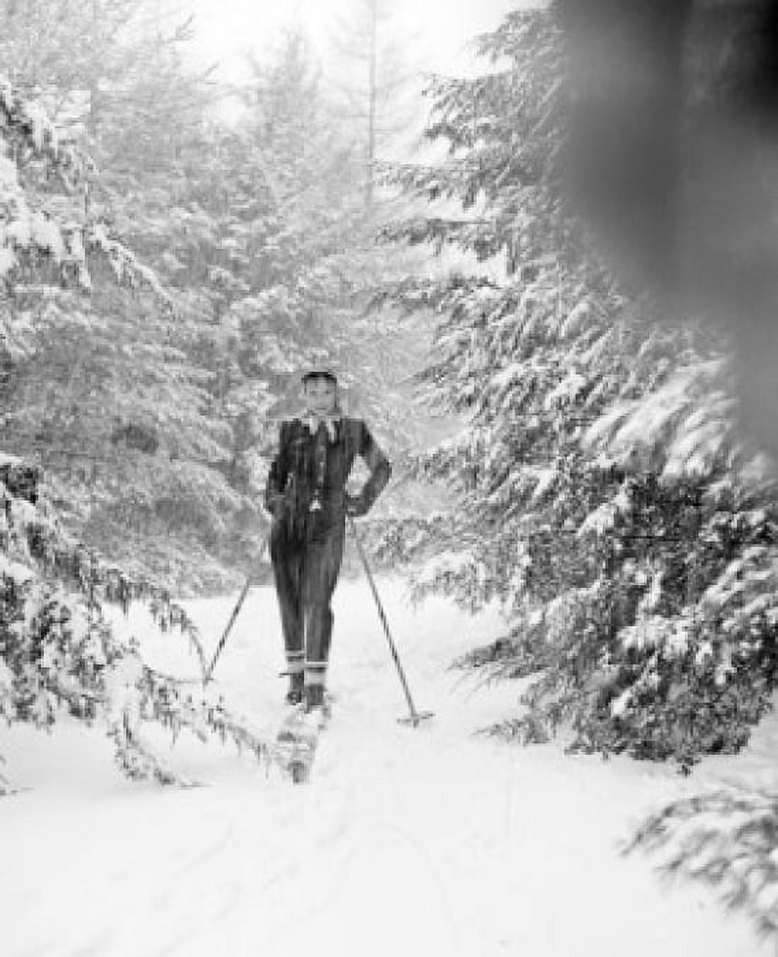 Teenage girl skiing in forest Canvas Art - (24 x 36)