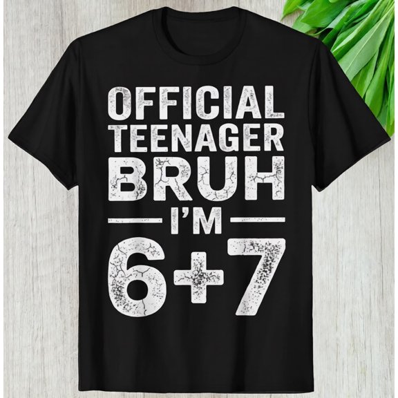 Teenager Bru 13th Birthday T-Shirt