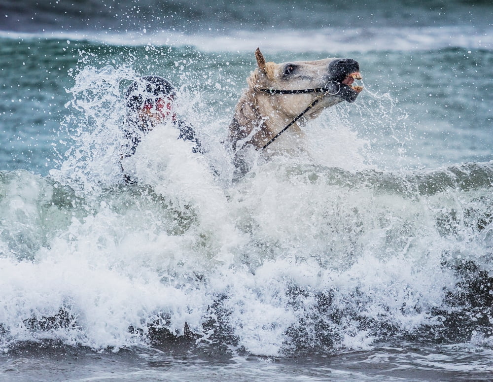 Teenager horseback riding in the sea Icelandic horse and rider at Longufjorur beach Snaefellsnes Peninsula Icelan Canvas Art - Panoramic Images (36 x 12)