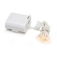 Teeny Bulbs Light Set w/ Battery Pack - 20 Rice Bulbs - Clear/White ...