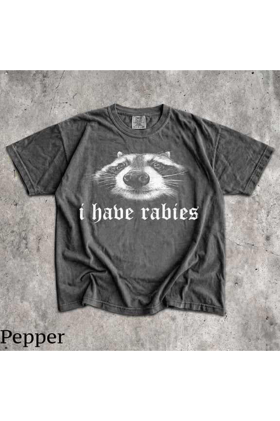 I Have T-Shirt, Men's Women's Unisex Graphic Tee, Vintage 90s Shirt, Weird Dark Humor, Grunge Goth Aesthetic Tee, Grey M