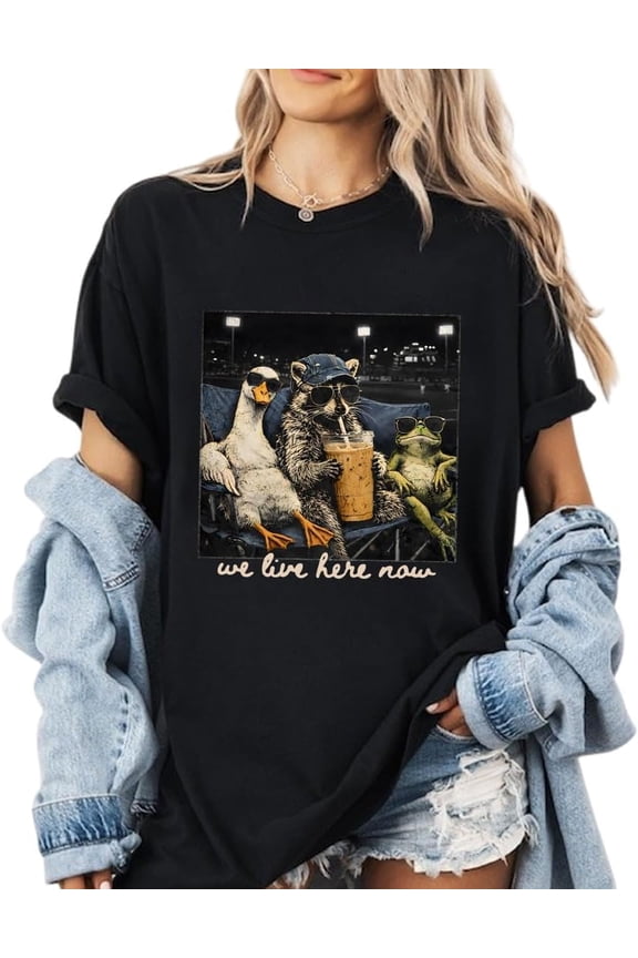 I Live Here Now Shirt, Vintage Iced Coffee Shirt, Goose Frog Baseball Ballfield Dark T-Shirt, Gifts for Baseball Lovers, Dark Heather 3XL