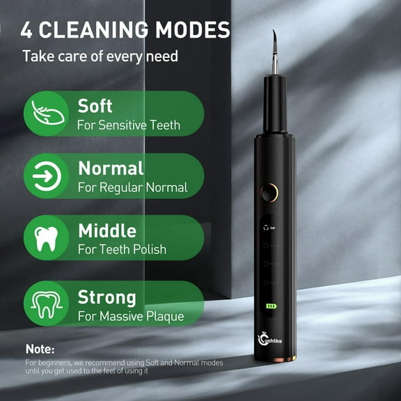 Teeth Plaque Remover with 4 Speed Modes, IPX6 Waterproof, LED Light, Dental Calculus Cleaner Kit