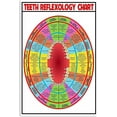 thumbnail image 1 of Teeth Reflexology Chart Knowledge Dentistry Educational Wall Art Metal Tin Sign Retro Poster Dentist Office Home Living Room Decoration Size: 12 x 16 inch, 1 of 5