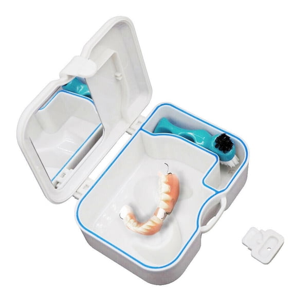 Teeth Storage Case Plastic Dental Denture Storage Box False Teeth Case Container with Mirror Brush