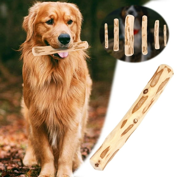 Teething Sticks for Dogs with Coffee Wood Chews – Dog Teeth Cleaning Stress Organic Toy for Aggressive Chewers Mum(B)ies Chews Suitable for Small to Large Breeds