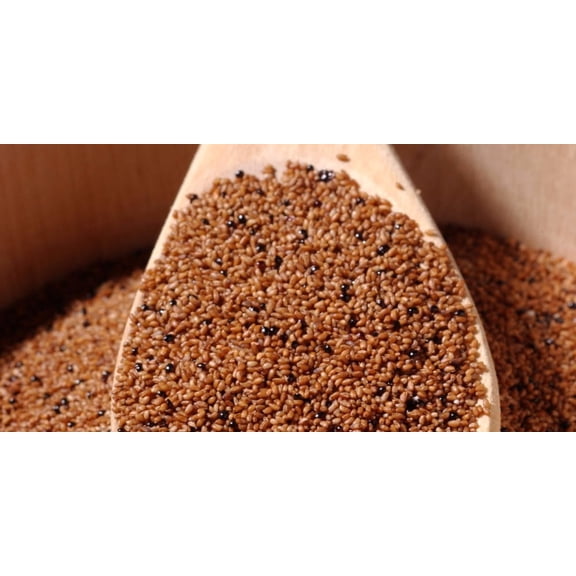 Teff Grain, 11lbs, Spongy Texture