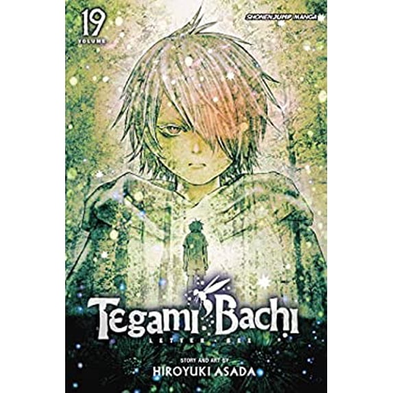 Pre-Owned Tegami Bachi, Vol. 19 (Paperback) 1421585162 9781421585161