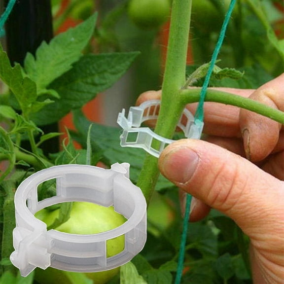 Teissuly 100Pcs Plant Vine Tomato Stem Clips Supports Connect to Trellis Twine Cages Plastic Sling Clips Fastener Plant Vines