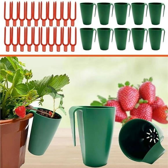 Teissuly Clearance Strawberry Box Transplanter Tray Strawberry Creeping Rooting Basin Balcony Strawberry Planting Cup Best Gift