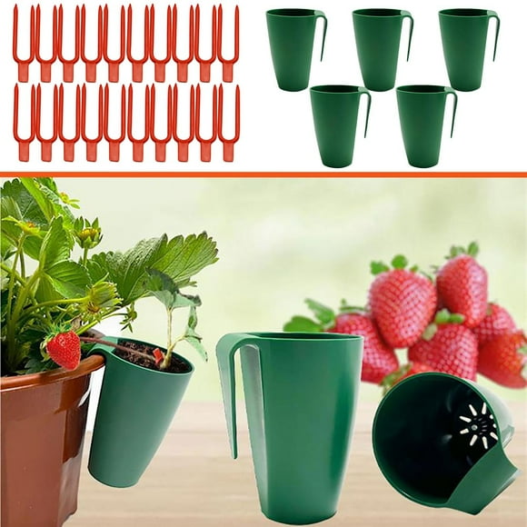 Teissuly Clearance Strawberry Box Transplanter Tray Strawberry Creeping Rooting Basin Balcony Strawberry Planting Cup Best Gift