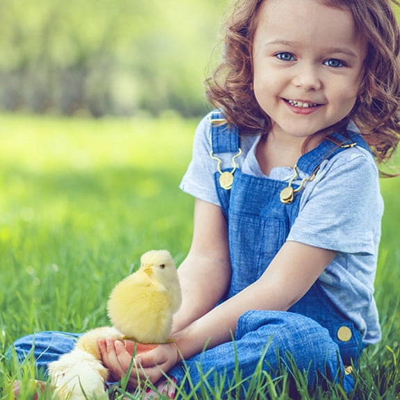 Teissuly Imitation Chicken Plush Toy Doll Children's Teaching Easter Model Chicken Model Decoration